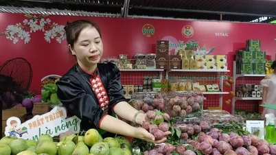Le code de zone de plantation protège la réputation des produits agricoles vietnamiens.