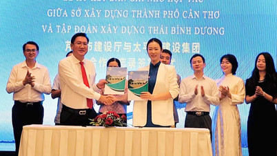 Sở Xây dựng TP Cần Thơ ký ghi nhớ hợp tác với Tập đoàn Xây dựng Thái Bình Dương