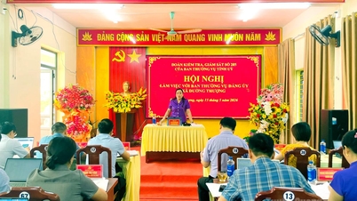 İl Parti Komitesi Daimi Kurulu'nun 285 numaralı denetim ve gözetim ekibi, Duong Thuong beldesi Parti Komitesi Daimi Kurulu ile birlikte çalıştı.