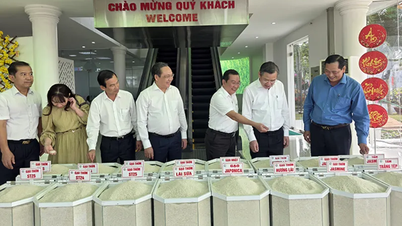 Vietnam Özel Sektör Raporu ve İl Rekabet Endeksi 2025'in Açıklanması