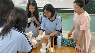 Die Nguyen Van To Secondary School (Ho-Chi-Minh-Stadt) sucht Schüler für die 6. Klasse nach Prioritätskriterien.