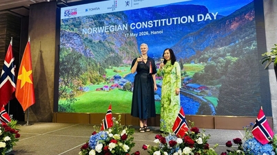 Vietnam och Norge strävar efter att bygga strategiska samarbetsramar.
