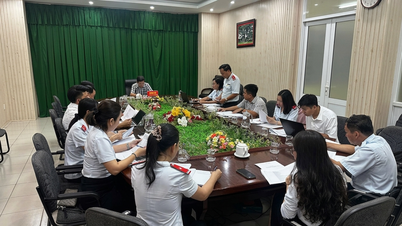 Thanh tra thành phố: Họp Tổ chuyên gia xác định tiêu chí đánh giá kết quả thực hiện nhiệm vụ theo Nghị định số 335/2025/NĐ-CP