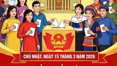 Thanh tra thành phố Cần Thơ tham gia Tổ số 1, Đoàn Kiểm tra số 3, Ủy ban bầu cử thành phố Cần Thơ kiểm tra công tác chuẩn bị bầu cử tại phường Long Tuyền và phường Bình Thủy