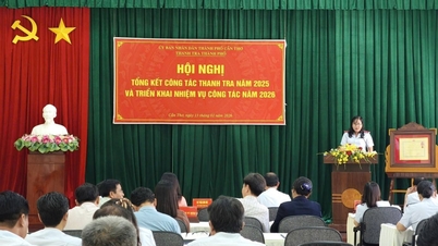 Thanh tra thành phố ban hành Kế hoạch triển khai thực hiện Nghị quyết số 01-NQ/ĐU của Đảng ủy Thanh tra Chính phủ năm 2026 