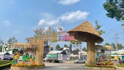 A Can Tho oferece treinamento em segurança alimentar para 330 barracas antes do 13º Festival de Bolos Tradicionais do Sul, em 2026.