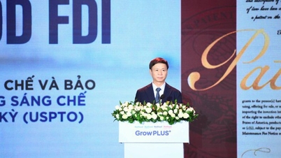 ສູດ FDI ຂອງ Nutifood ໄດ້ຮັບສິດທິບັດຈາກ USPTO ຂອງສະຫະລັດອາເມລິກາ.