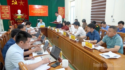 Genosse Vân Đình Thảo arbeitete mit dem Ständigen Ausschuss des Parteikomitees der Gemeinden Tân Tiến und Nậm Dịch zusammen.