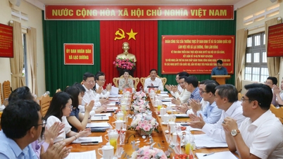 The National Assembly's Economic and Financial Committee works with Lac Duong commune.