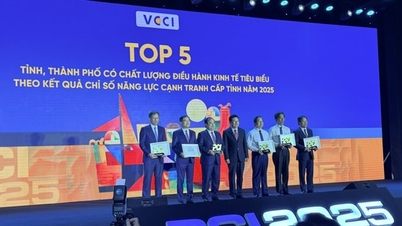 PCI 2025: Устранение препятствий для обеспечения прорыва частного сектора в новой сфере развития.