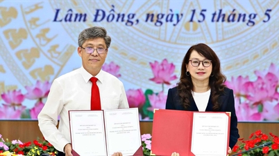 Lâm Đồng ký kết hợp tác với Đại học Quốc gia TP Hồ Chí Minh giai đoạn 2026 - 2030