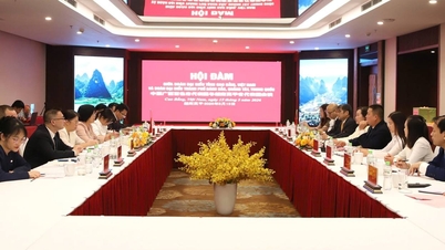 Cao Bang (Vietnam) e Baise (Cina) rafforzano la cooperazione in materia di assistenza sanitaria, controllo delle malattie e sicurezza alimentare lungo il confine.