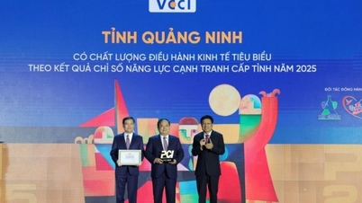 Quang Ninh si klade za cíl proniknout do přední skupiny v indexech PCI i BPI v roce 2025.