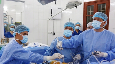 O doador vivo mais idoso do Vietnã recebeu um transplante de rim.