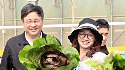 Universitatea Națională din Ho Chi Minh City studiază modelele agricole de înaltă tehnologie din provincia Lam Dong.