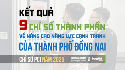 [อินโฟกราฟิก] ผลลัพธ์ของตัวชี้วัดองค์ประกอบในดัชนี PCI 2025 ของจังหวัดดงไนเป็นอย่างไร?
