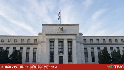 La Fed sous la direction de son nouveau président : comment la politique monétaire va-t-elle évoluer ?