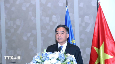 Ho Chi Minh-staden och EU har gott utrymme för samarbete inom hållbar utveckling.