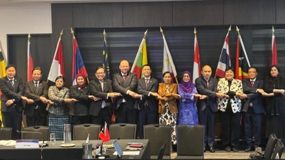 Podpora provádění komplexního strategického partnerství ASEAN-Nový Zéland k vzájemnému prospěchu.