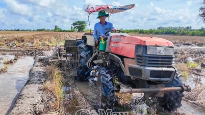 Farmers in Chau Thoi commune are ready for the 2026 Summer-Autumn rice crop.