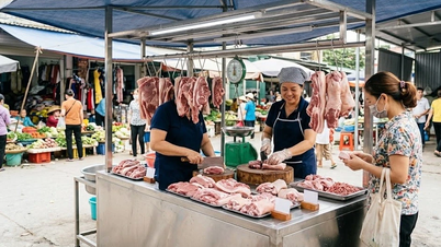Harga daging babi hari ini, 16 Mei: Kenaikan tajam di wilayah Utara, pasar tetap tinggi.