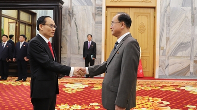 Vietnam en Noord-Korea zijn vastbesloten om de bilaterale betrekkingen te ontwikkelen.