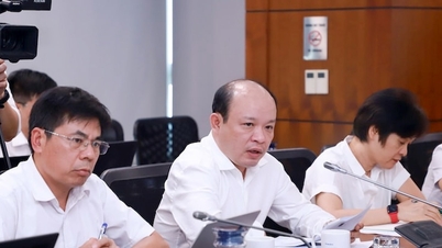 Arranging financing for power projects.