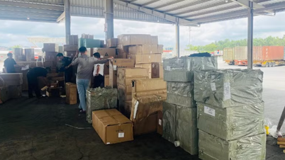 Berpuluh-puluh ribu produk yang disyaki melanggar hak harta intelek telah ditemui melintasi sempadan utara.