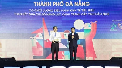 Da Nang adalah antara 5 lokasi teratas di seluruh negara dari segi kualiti tadbir urus mengikut ranking PCI 2025.