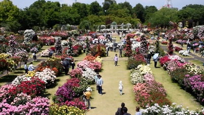 สวนกุหลาบแห่งนี้งดงามราวกับสวนในเทพนิยาย