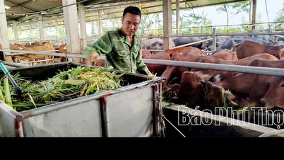 Transformación de subproductos agrícolas en alimento para animales.
