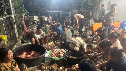 נגה אן: תושבים מקומיים מאחדים כוחות כדי "להציל" 500 תרנגולות שנחנקו עקב מערכת קירור תקולה.