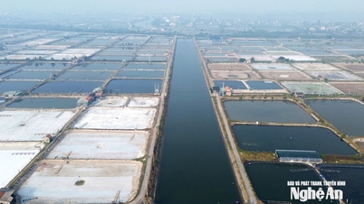 Thiếu kinh phí vận hành hệ thống cấp nước biển, vùng nuôi tôm Quỳnh Anh gặp khó