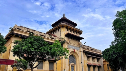 Plannen voor Le Thanh Tongstraat 19 in Hanoi: De Universiteit voor Farmacie wordt omgevormd tot een dynamisch museum.