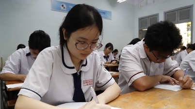 専門学校には、SATよりも幅広い「国際基準」が必要だ。