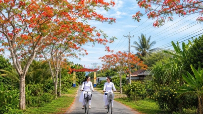 Di bawah kanopi pokok api, bertahun-tahun yang lalu