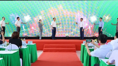 Khởi động Ngày Chuyển đổi xanh 2026: Thúc đẩy mô hình tăng trưởng mới