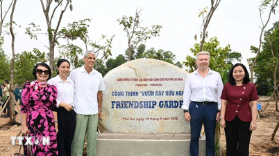 Ciudad Ho Chi Minh: Fomentando la solidaridad internacional a través de actividades de plantación de árboles de la amistad.