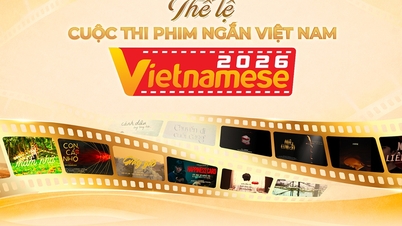 2026 Vietnam Kısa Film Yarışması Kuralları