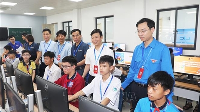 Tìm kiếm tài năng công nghệ trẻ