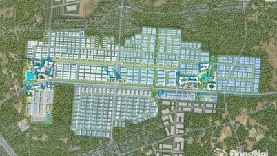 ドンナイ省は、ロンタイン空港近郊に2つの大規模工業団地を建設するため、1,900ヘクタール以上の土地をリースしている。