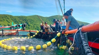 Fishermen in Khanh Hoa bring cameras to sea.