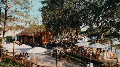 ກ່ອນມີບັນຫາທາງກົດໝາຍ ທ້າວ ທອງ ເຈີ້ ແລະ ທ້າວ ດອຍ ມັດຕຣອຍ ດຳເນີນການແນວໃດ?