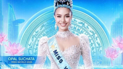 2026년 미스 월드 대회가 베트남에서 개최되는 것에 대한 새로운 소식은 무엇인가요?