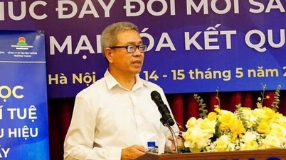 Tập huấn về sở hữu trí tuệ cho nhà khoa học, giảng viên