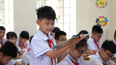 A small flower shines brightly from Kim Dong High School.