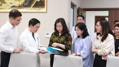 รัฐมนตรีว่าการกระทรวงสาธารณสุข ดาว หงหลาน กล่าวว่า จังหวัดเหงะอานจำเป็นต้องเสริมสร้างการตรวจคัดกรองมะเร็งและการดูแลสุขภาพ 'ตั้งแต่เนิ่นๆ และทางไกล'