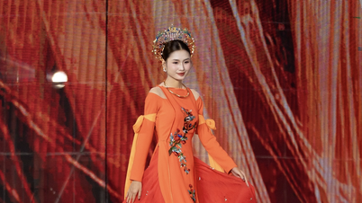 Hoa hậu Môi trường thế giới 2023 Nguyễn Thanh Hà tỏa sáng trong tà áo dài Việt