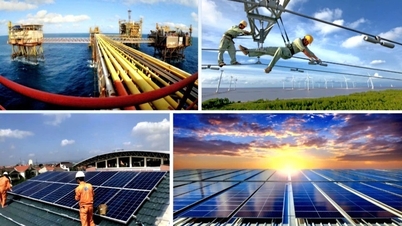 Ministerul Industriei și Comerțului propune înființarea unui Departament pentru Energie, Petrol și Gaze.