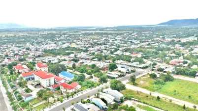 Gia Lai chấp thuận chủ trương đầu tư trang trại chăn nuôi heo với kinh phí 140 tỷ đồng